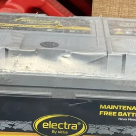 electra