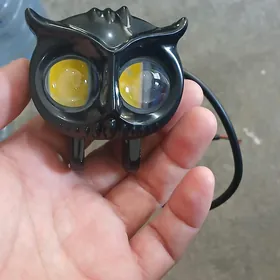 Led