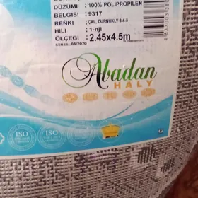 Tolkun haly