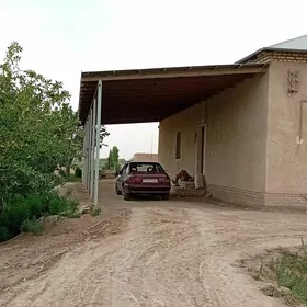 Satlyk jaÿ
