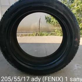 205/55/17 1 sany