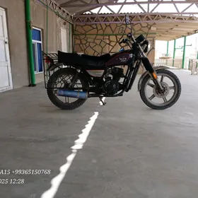 Fekon FK150-8G 2015