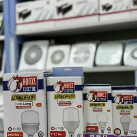 Horoz electric lampalar