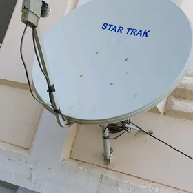 кичи тарелка