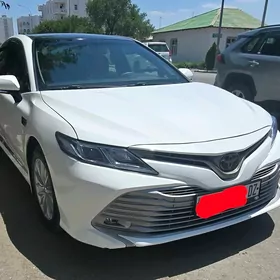 Toyota Camry 2019