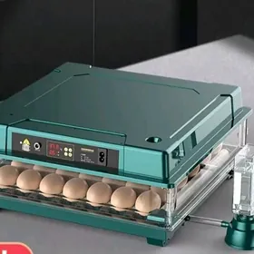 Inkubator