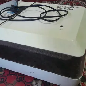inkubator