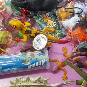 Biology toys