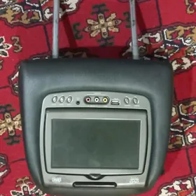 Padgalownik explorer 15-17