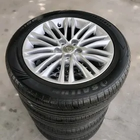 lexus disge pakryşga 17 morda