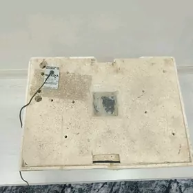 inkubator zavod