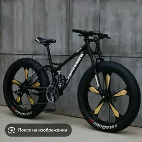  Tigir  26 lyk
