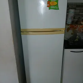 Holadilnik sowadyjy