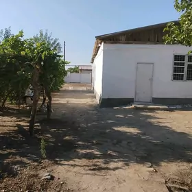 satlyk  jaý