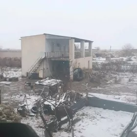 Turkmengala Taze dünya genesli