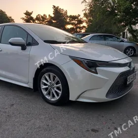 Toyota Corolla 2020