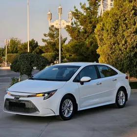 Toyota Corolla 2021
