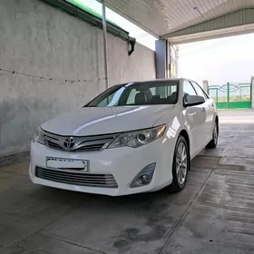 Toyota Camry 2013
