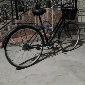 26lyk