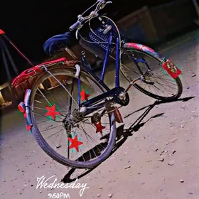 Wolsapet