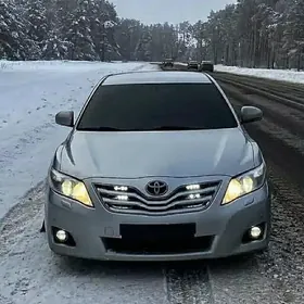 waditel safyor suruji