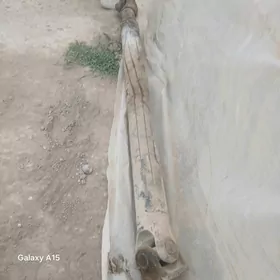 kardan