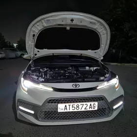 Toyota Corolla 2019