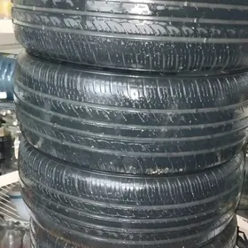 teker 205.55.16 yag govy