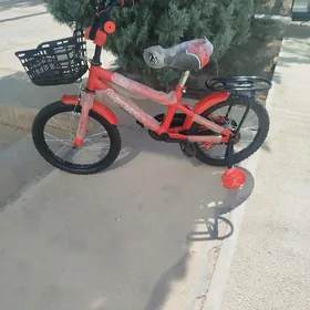 Welik 16lyk