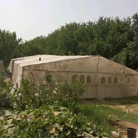 Parnik