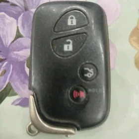maşyn pult