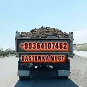 Miti Sement kerpic pulpa deris