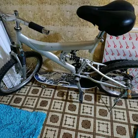 Oglanlar üçin tigir