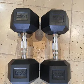 Gantel 12.5+12.5=25kg