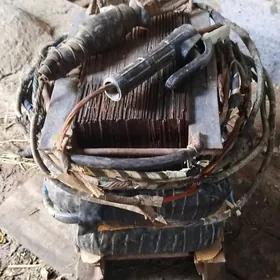 sywarka sarym