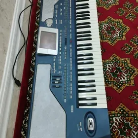 KORG PA 800