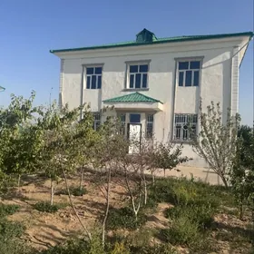 Taze zaman katej