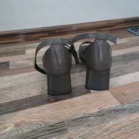 basanoşka altyn aýak