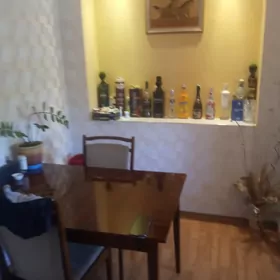 Satlyk jaylar