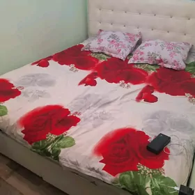 2 mkrn 1/2 edilen Satlyk