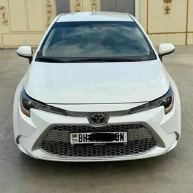 Toyota Corolla 2020