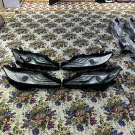 fara gurzinka camry