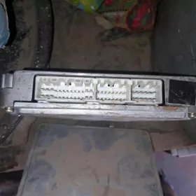 pamyutur karona karolla