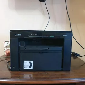 Canon 3010