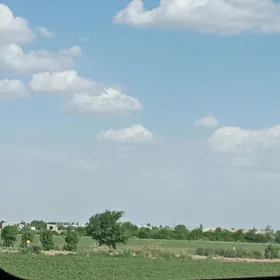 atelya