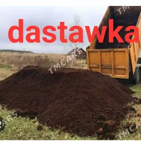 MYTY MİTİ CAGE DAG DAS