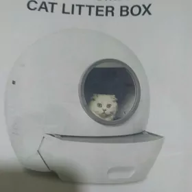 Домик для котиков