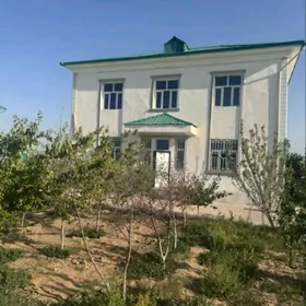 taze zaman