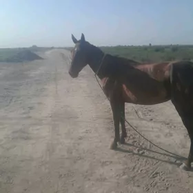 At