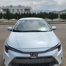 Toyota Corolla 2020